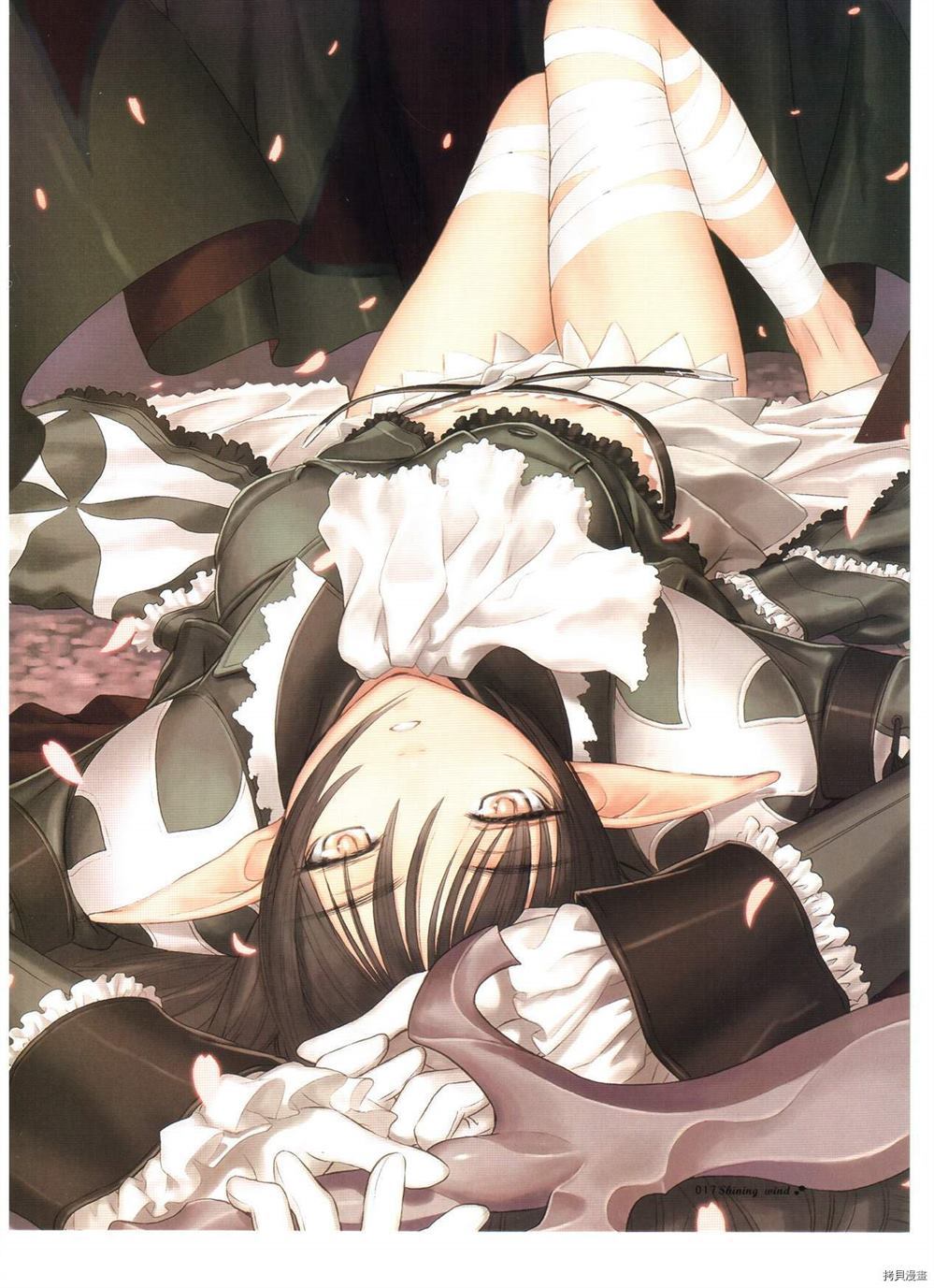 第17页