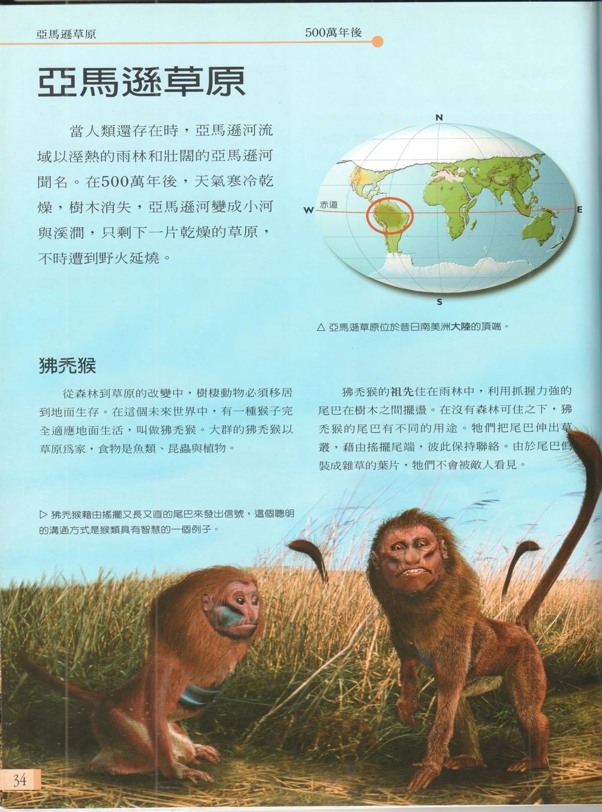第41页