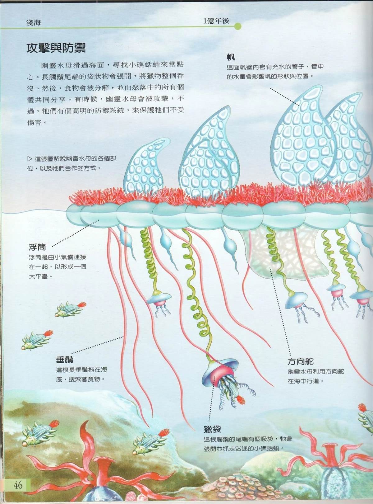 第53页