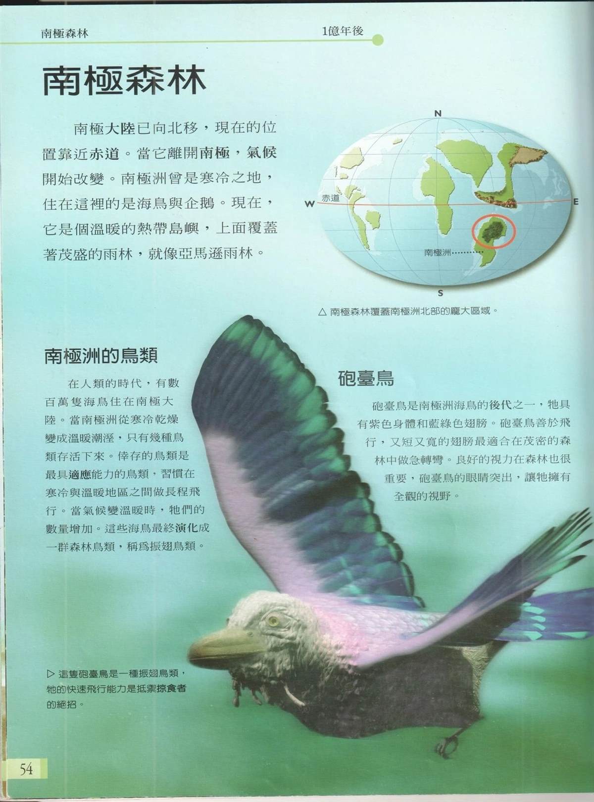 第61页