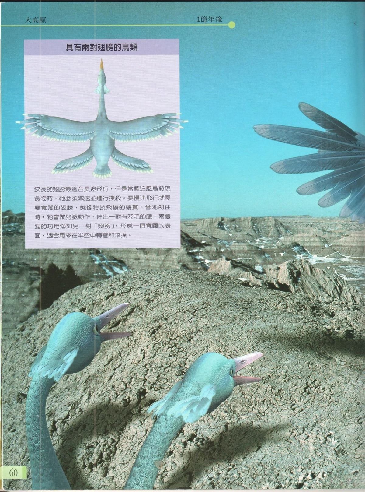 第67页