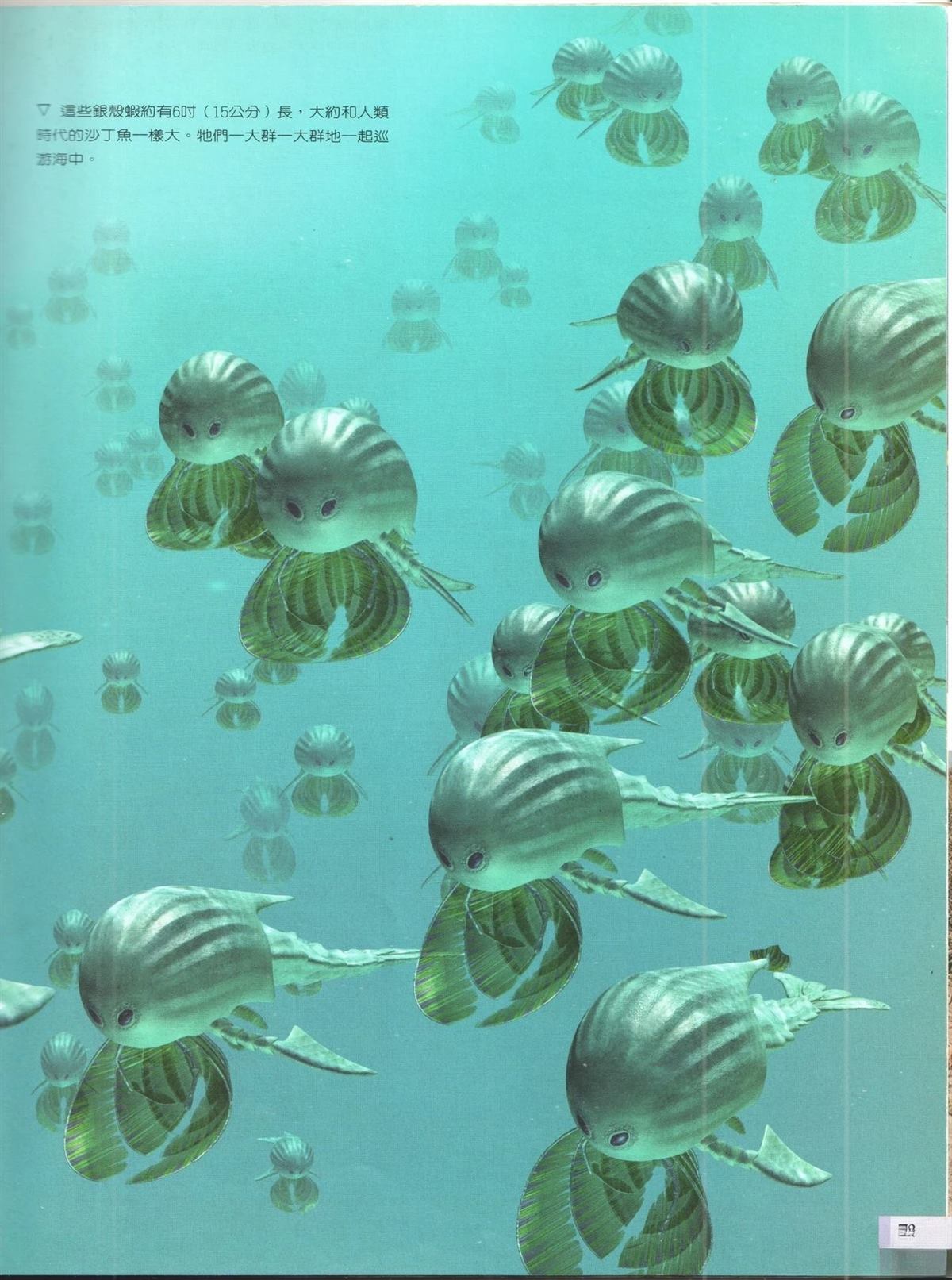 第80页