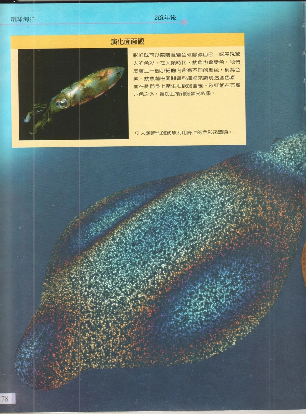 第85页