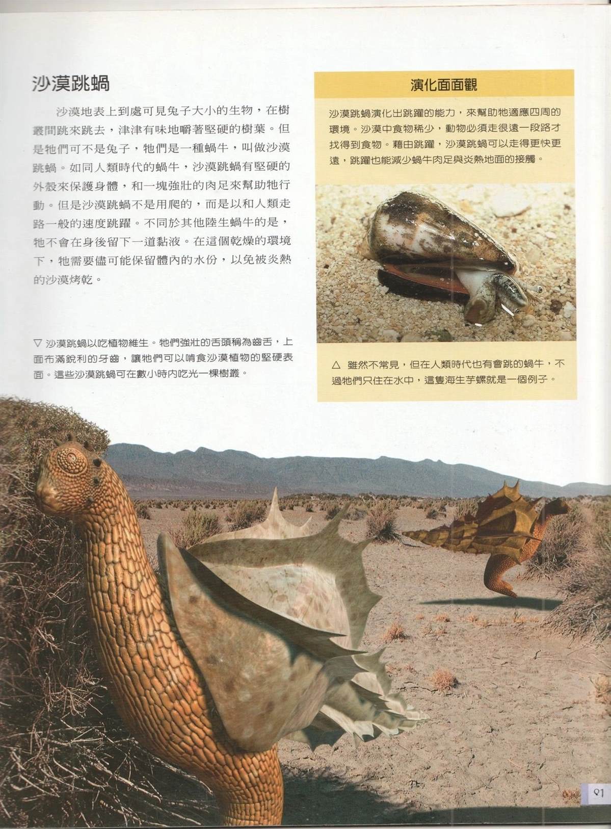 第88页