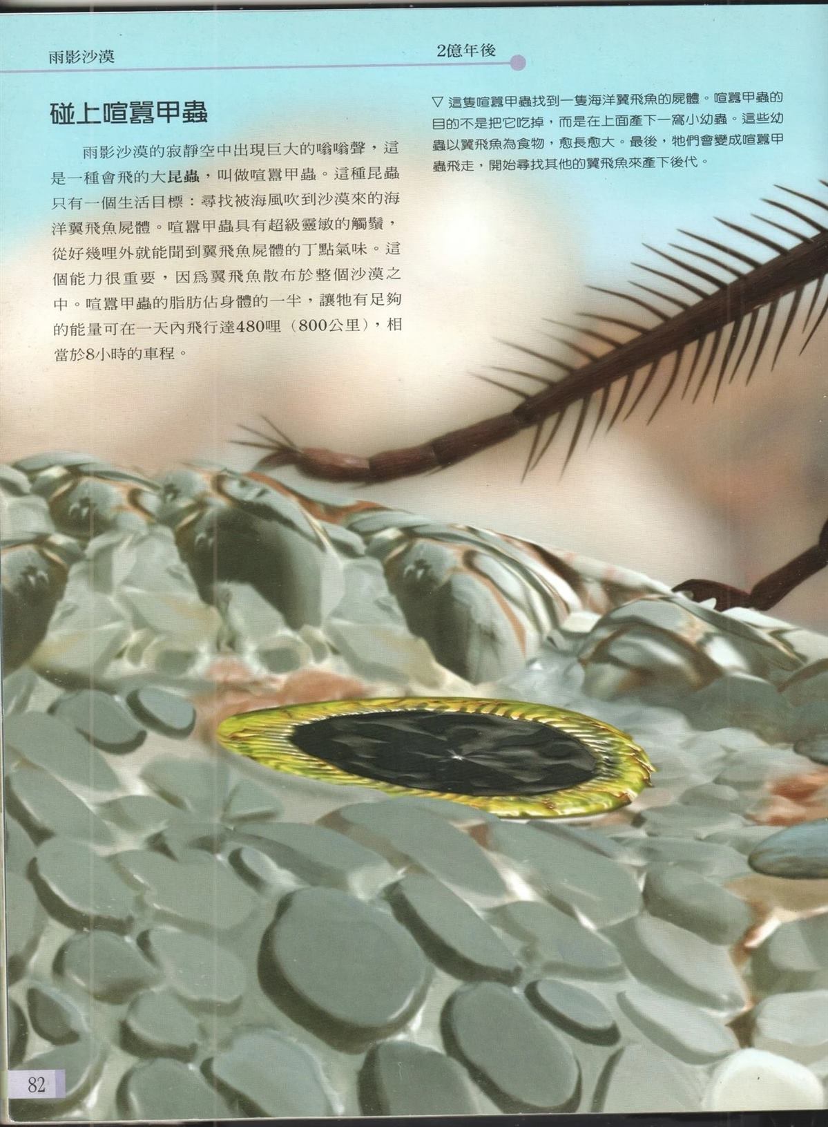 第89页