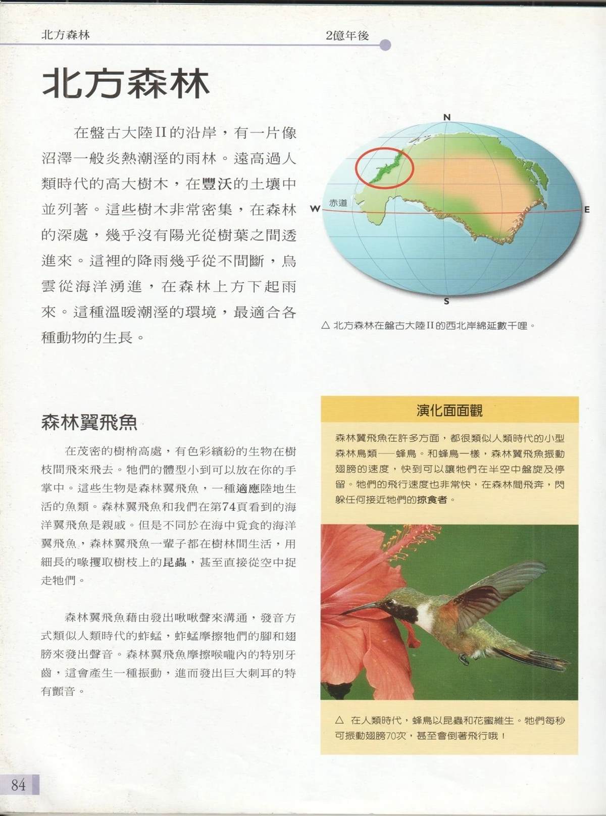 第91页