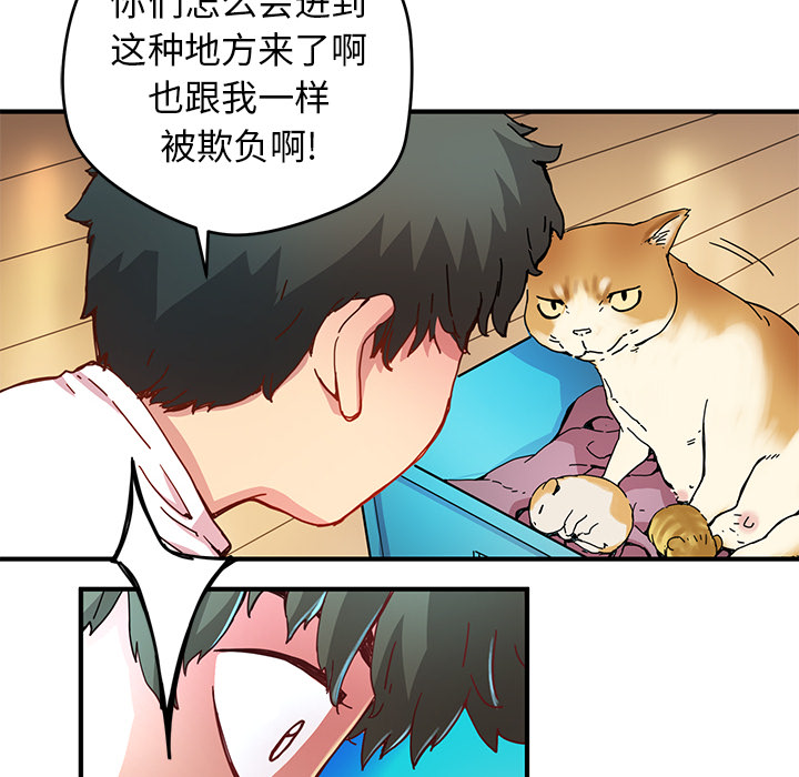 第68页