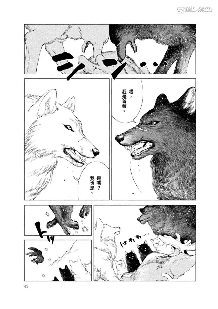 第42页