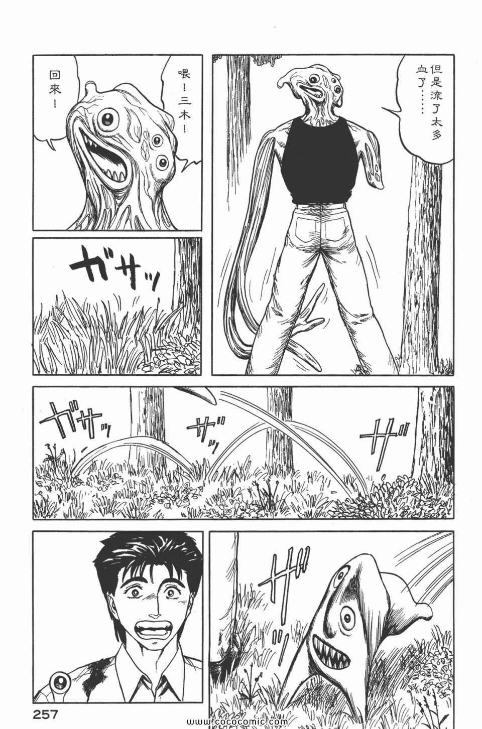 第259页