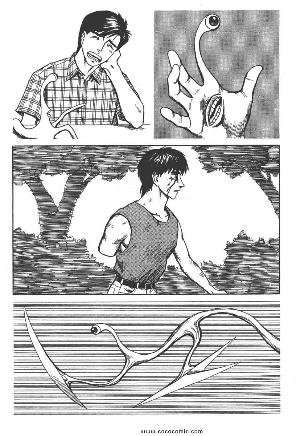 第44页