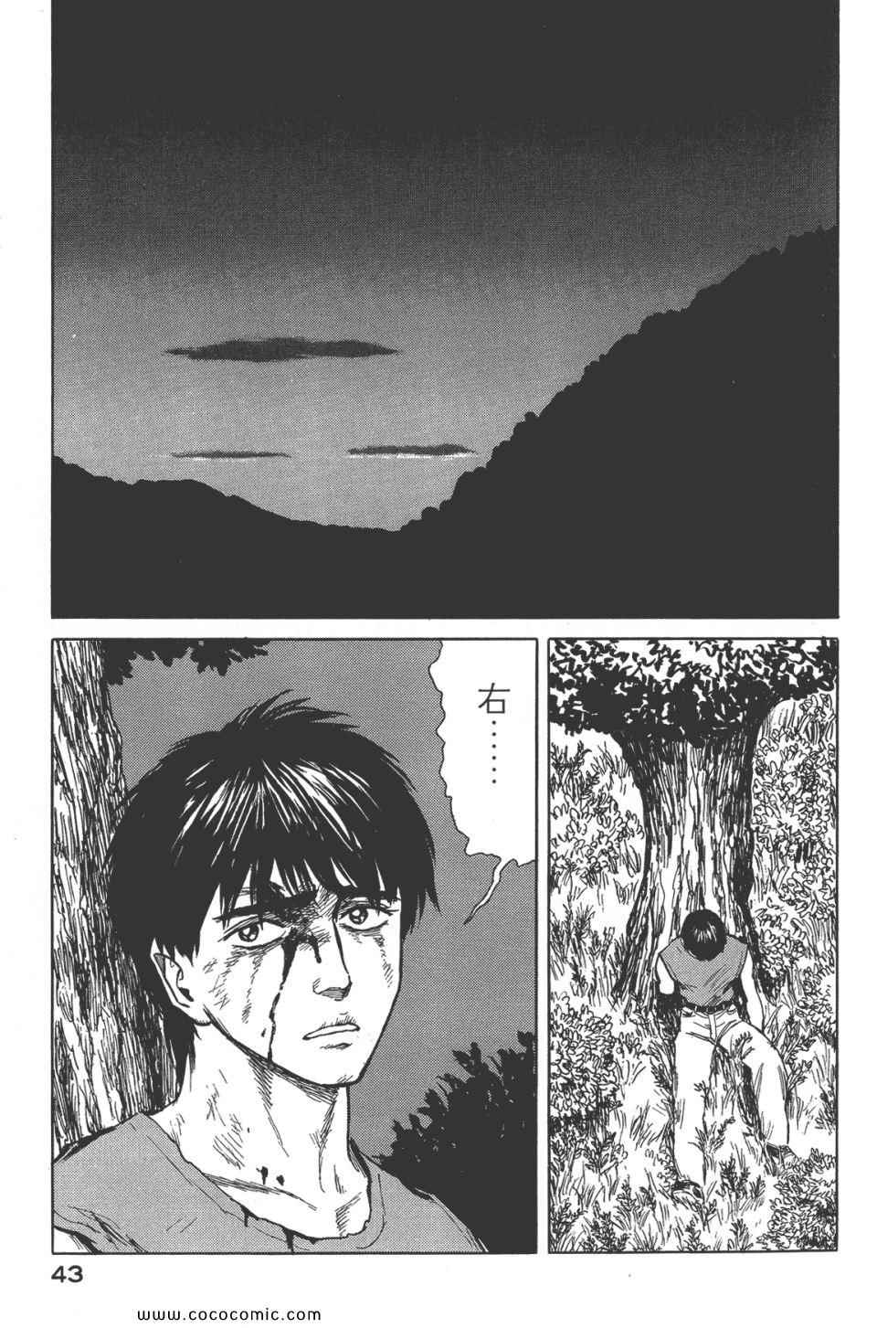 第46页