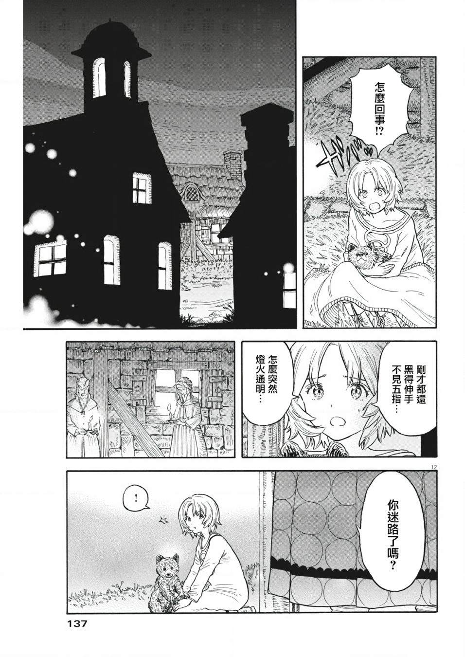 第12页